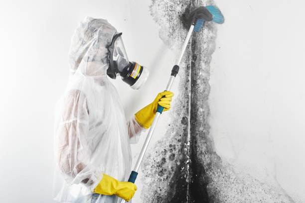 Best Mold-Related Health Consultation  in Sioux Falls, SD