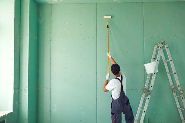 Best Commercial Mold Inspection  in Sioux Falls, SD