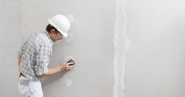 Best Mold Removal for HVAC Installations  in Sioux Falls, SD