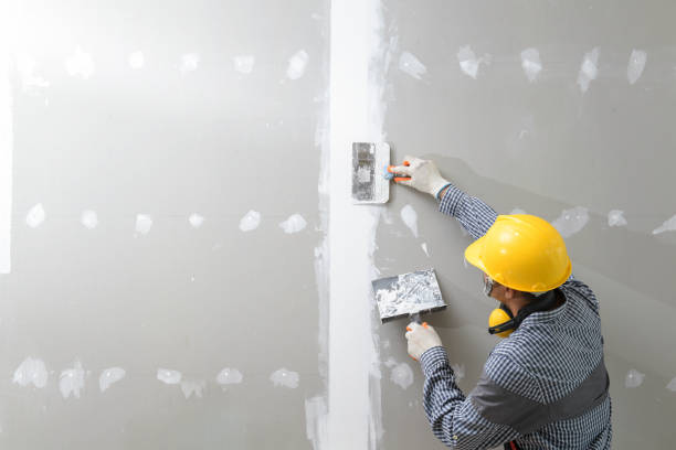 Professional Mold Removal in Sioux Falls, SD
