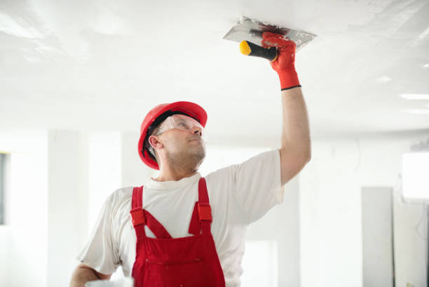 Best Real Estate Mold Inspection  in Sioux Falls, SD