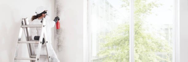 Mold Odor Removal Services in Sioux Falls, SD