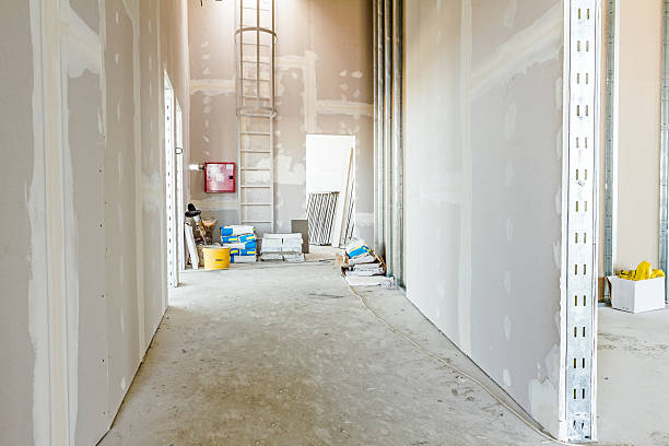 Best Environmental Consulting for Mold Prevention  in Sioux Falls, SD
